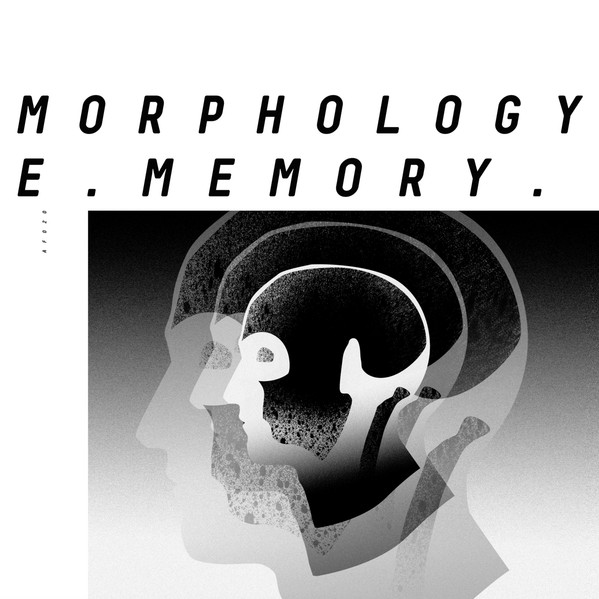 Morphology - Vector Plant