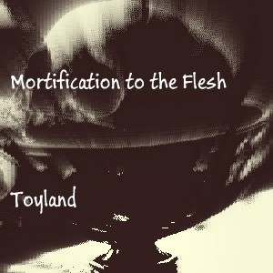 Mortification To The Flesh - Entropy