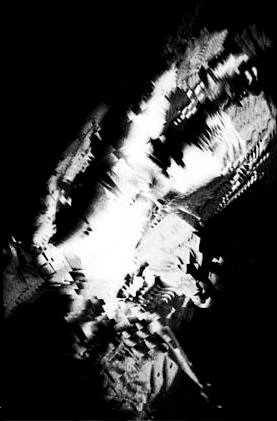 Mortinatos in Vitro - Moey