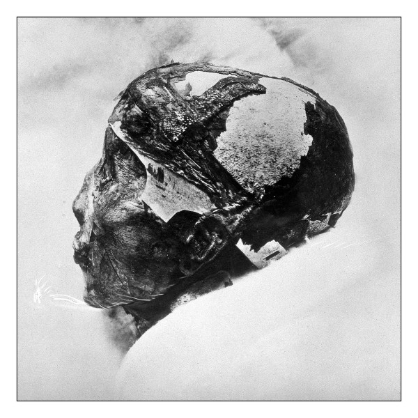 Mostly Hair And Bones - Haunted