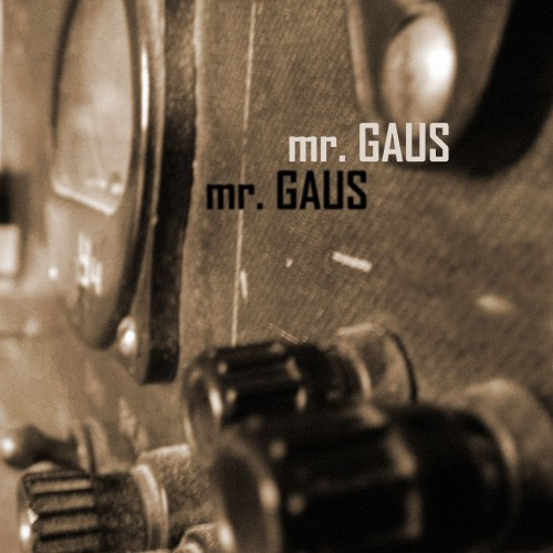 Mr. Gaus - Reborn