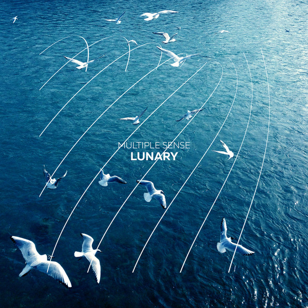 Multiple Sense - Ambivalent