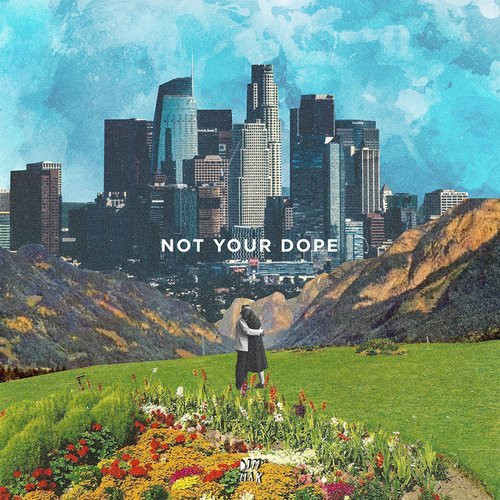 NOT YOUR DOPE - Wild Side