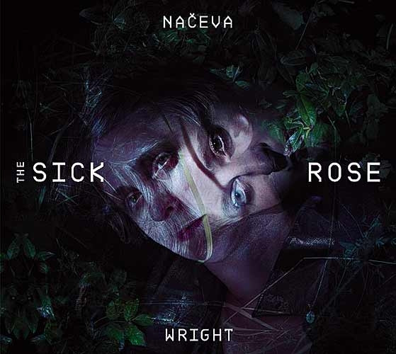 Načeva & Wright - The Sick Rose