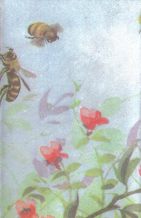 Nackt Insecten - Quantum Odyssey Side A