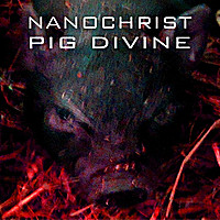 Nanochrist - Exoskeleton