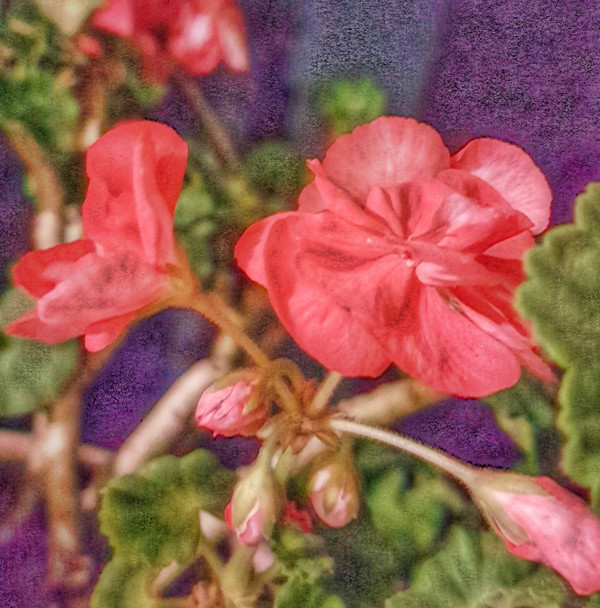 Nature Against Human Race - II