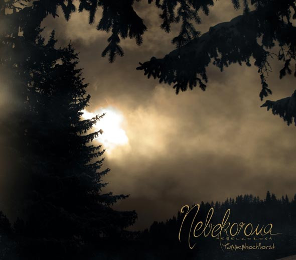 Nebelkorona - Baumgespenster