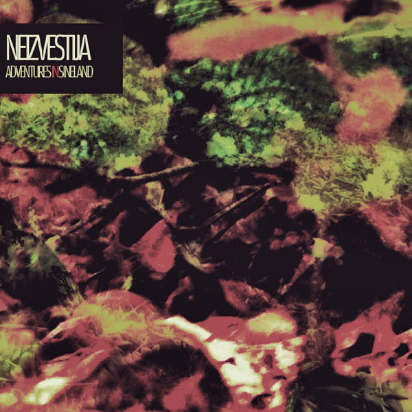 Neizvestija - Muslyumovo