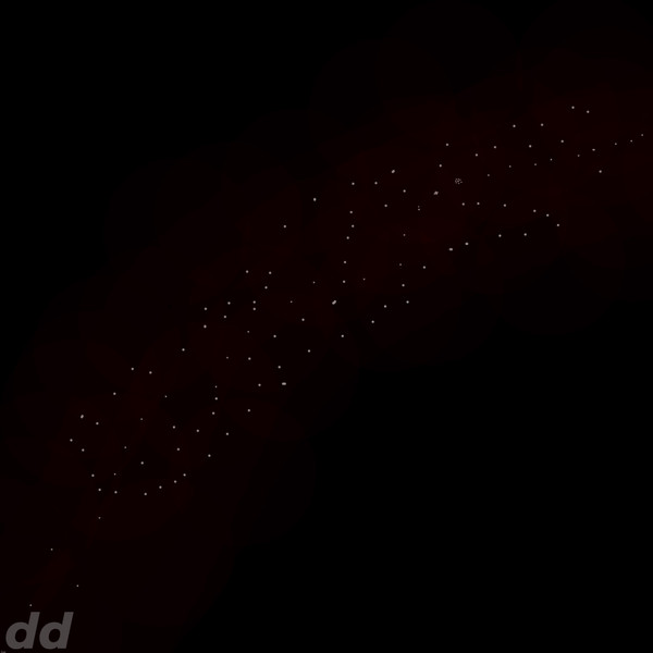 Neobit - the dog runs away from me now