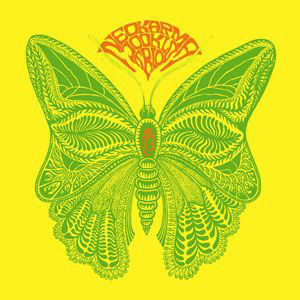 Neokarma Jooklo Trio - Strange Land
