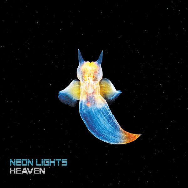 Neon Lights - Unceasing Atmosphere
