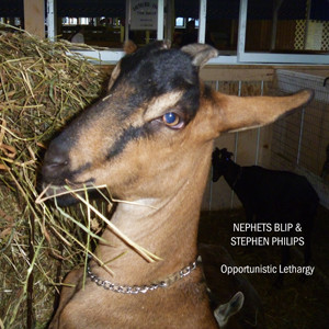 Nephets Blip - Waft