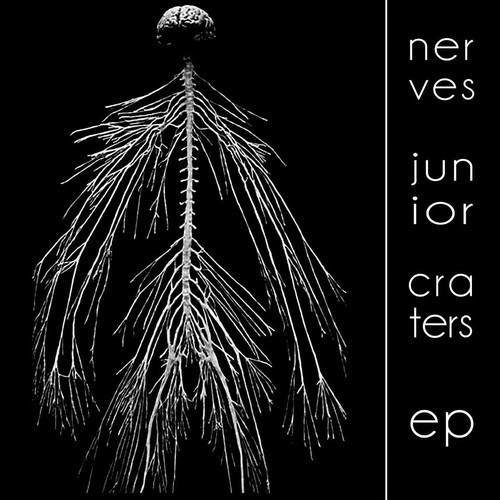 Nerves Junior - Goodnight Nobody