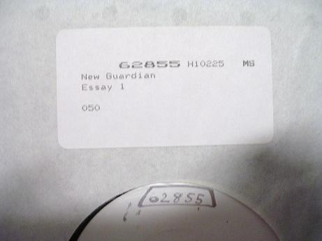 New Guardian - Essay One
