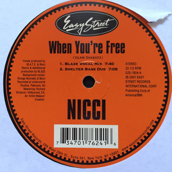 Nicci - The Summer Is Magic - Radio Edit