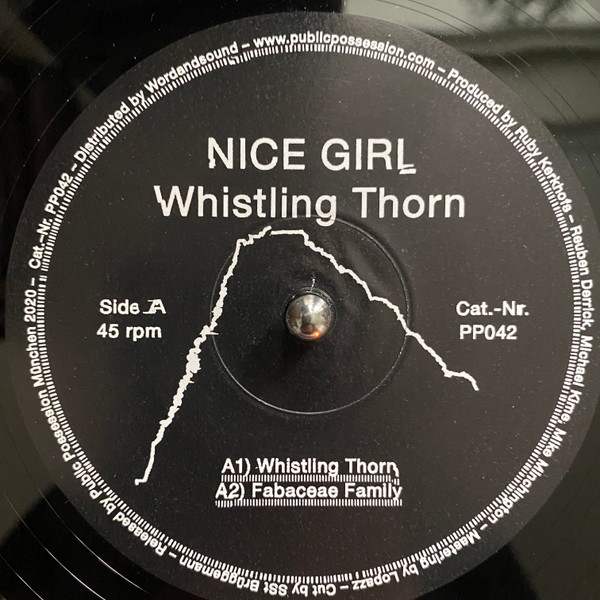 Nice Girl - Take Me Home