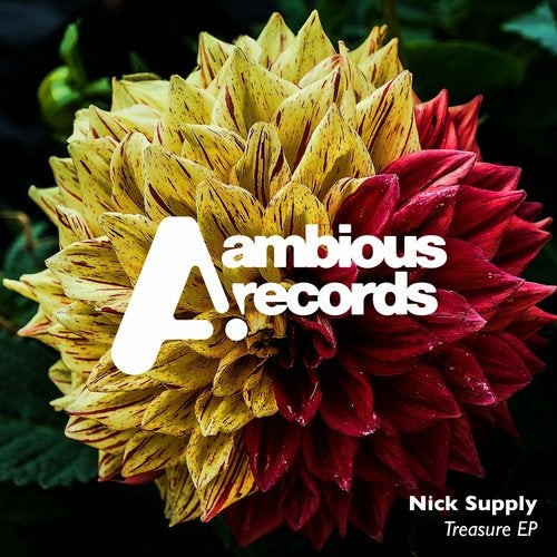 Nick Supply - Dubliss Nipplestep, Requiem For A Dub