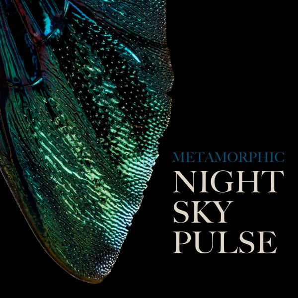 Night Sky Pulse - Missing