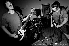 Night Wounds - Animal