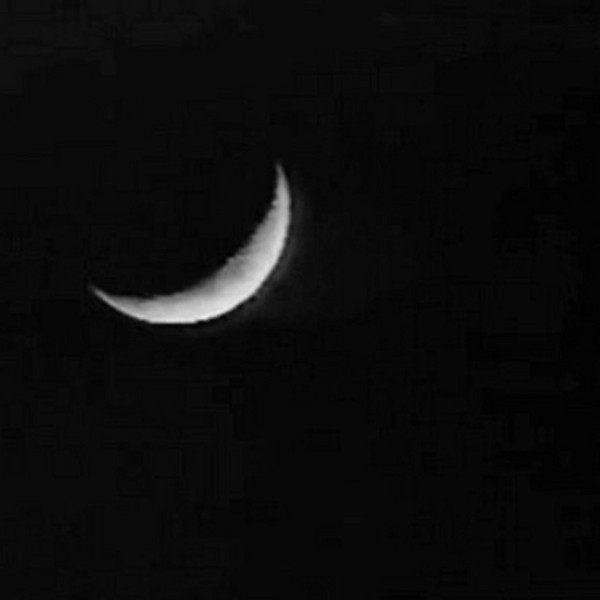 Nihilema - Moonlight