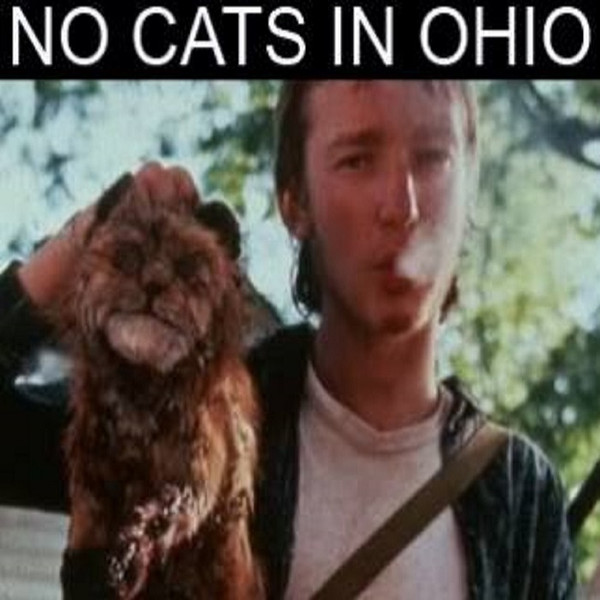 No Cats In Ohio - code 45385 - untitled