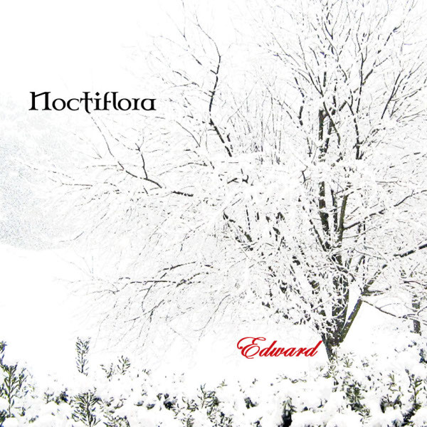 Noctiflora - Pan