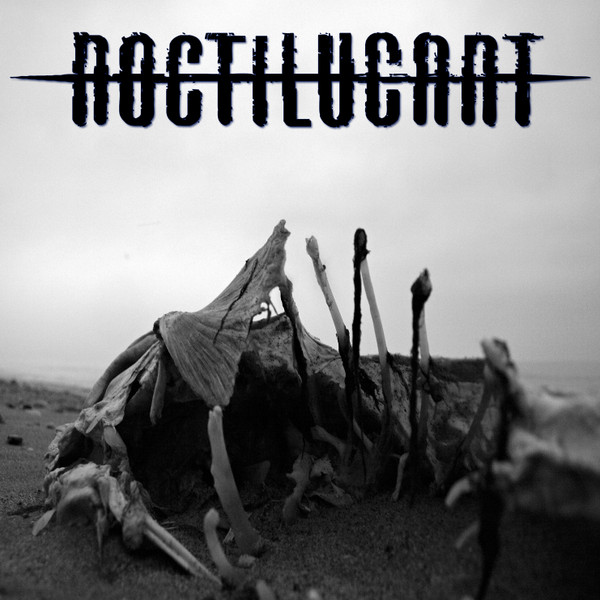 Noctilucant - TwoFiftySixAnteMeridiem