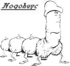 Nogohuyc - Shit Snowman