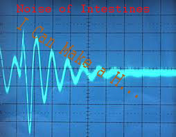 Noise of Intestines - Nightmares