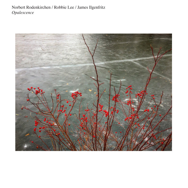 Norbert Rodenkirchen / Robbie Lee / James Ilgenfritz - Society of the First Snowfall