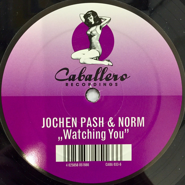Norm & Jochen Pash - Shake it (Micha Moor Remix)