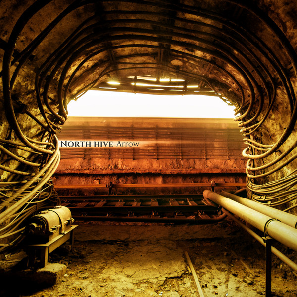 North hive - Immersion
