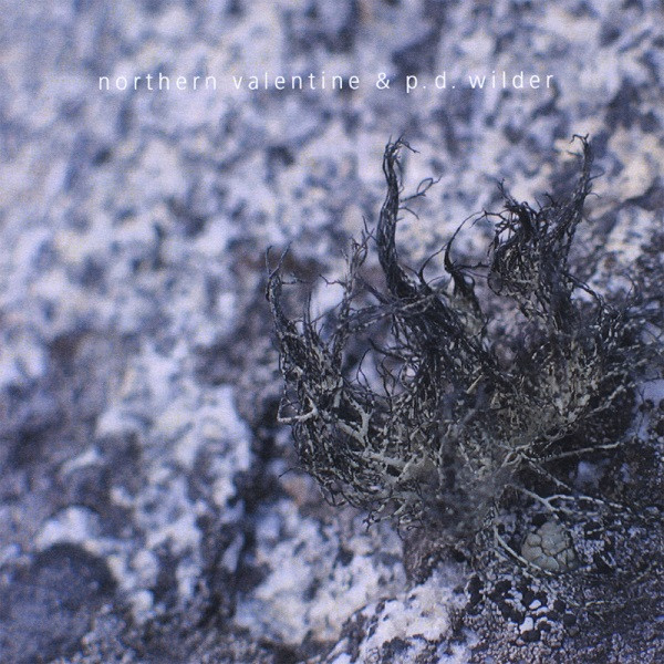 Northern Valentine & P.D. Wilder - Amx Actic