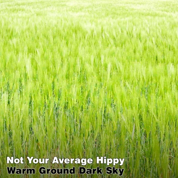 Not Your Average Hippy - Thirteen