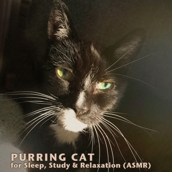 Nova Cat Purring Sounds - Cat Purring Slow & Warm - Loopable