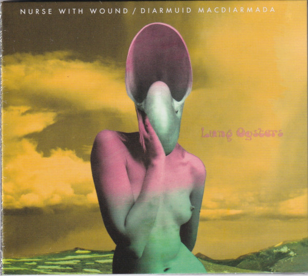 Nurse With Wound / Diarmuid MacDiarmada - Two Shoves and a Shunt