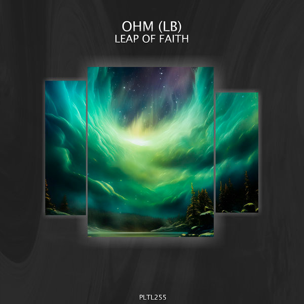 OHM (LB) - Space Hornet