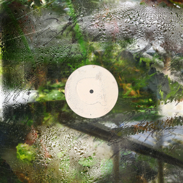 OK EG - Serpentine 3