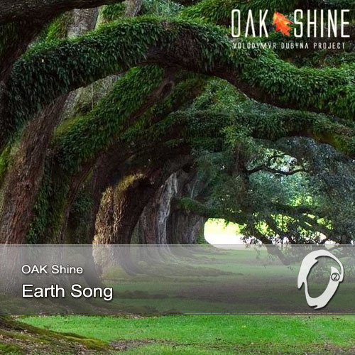 Oak Shine - Seagull (bonus track)
