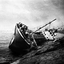 Oiseaux-Tempête - Notes from the Mediterranean Sea