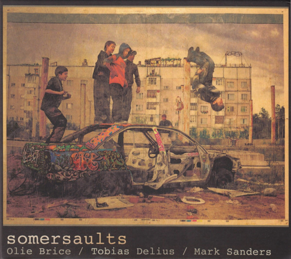 Olie Brice/Tobias Delius/Mark Sanders - like a creature let loose in a room
