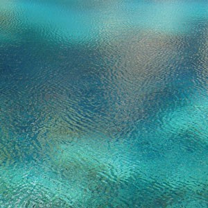 Omenya - We All See