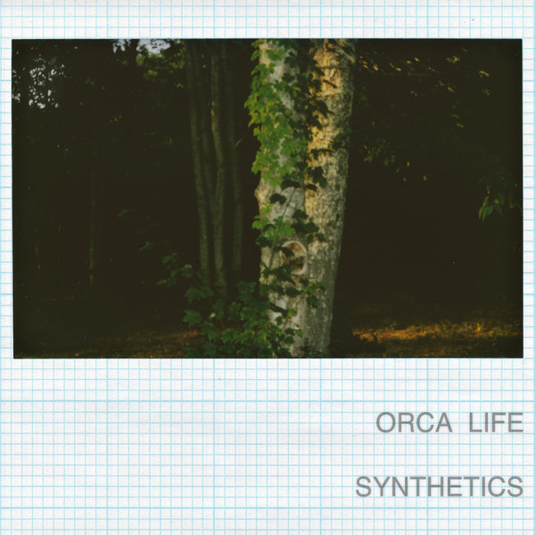 Orca Life - Cerulean Visions