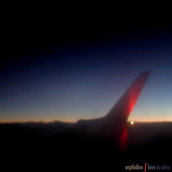 Orphidice - Coming Home