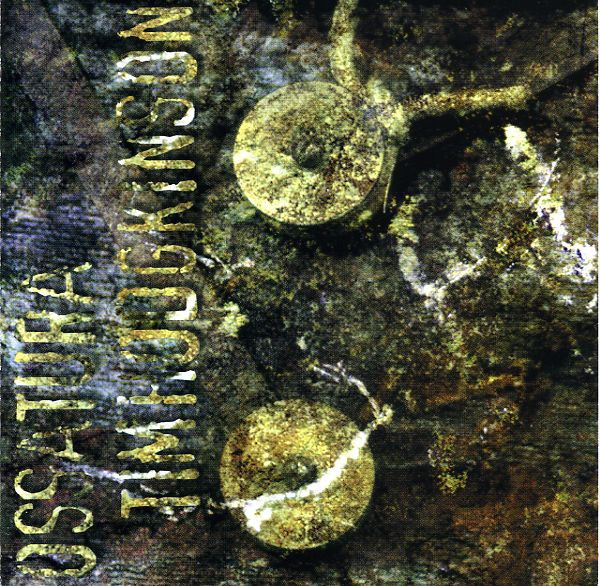 Ossatura & Tim Hodgkinson - Description