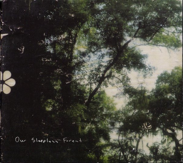 Our Sleepless Forest - The Tinderbox