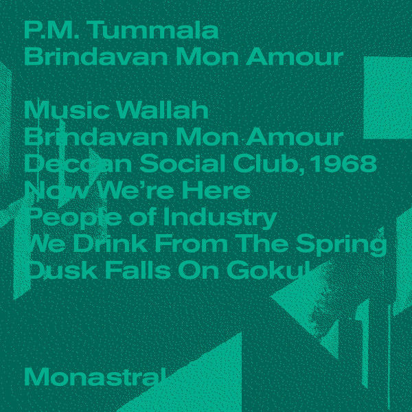 P.M. Tummala - A Heron Hidden in the Moon