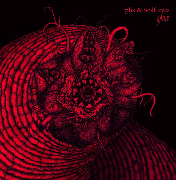 PBK & Wolf Eyes - Dark Reflection