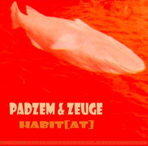 Padzem - The Seduction Of Breakcore (Belarus)